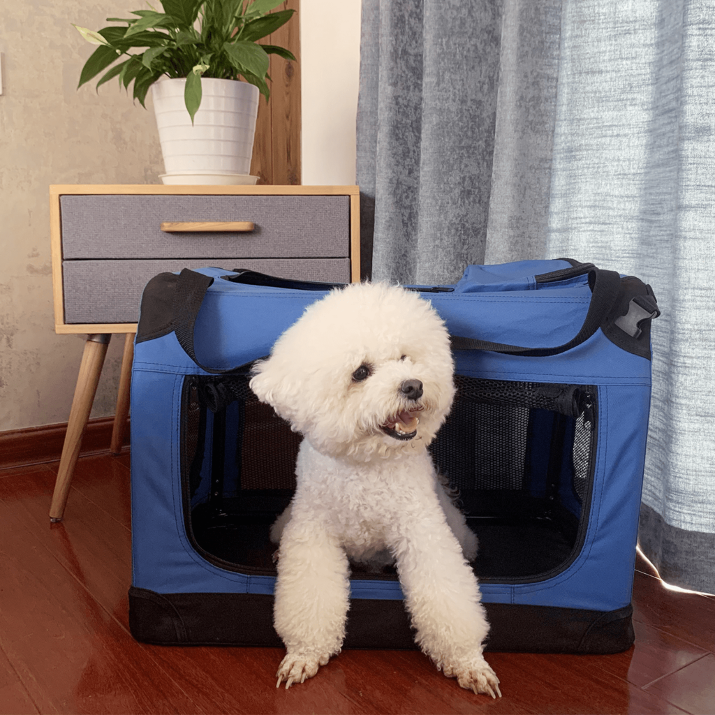 pet carrier foldable