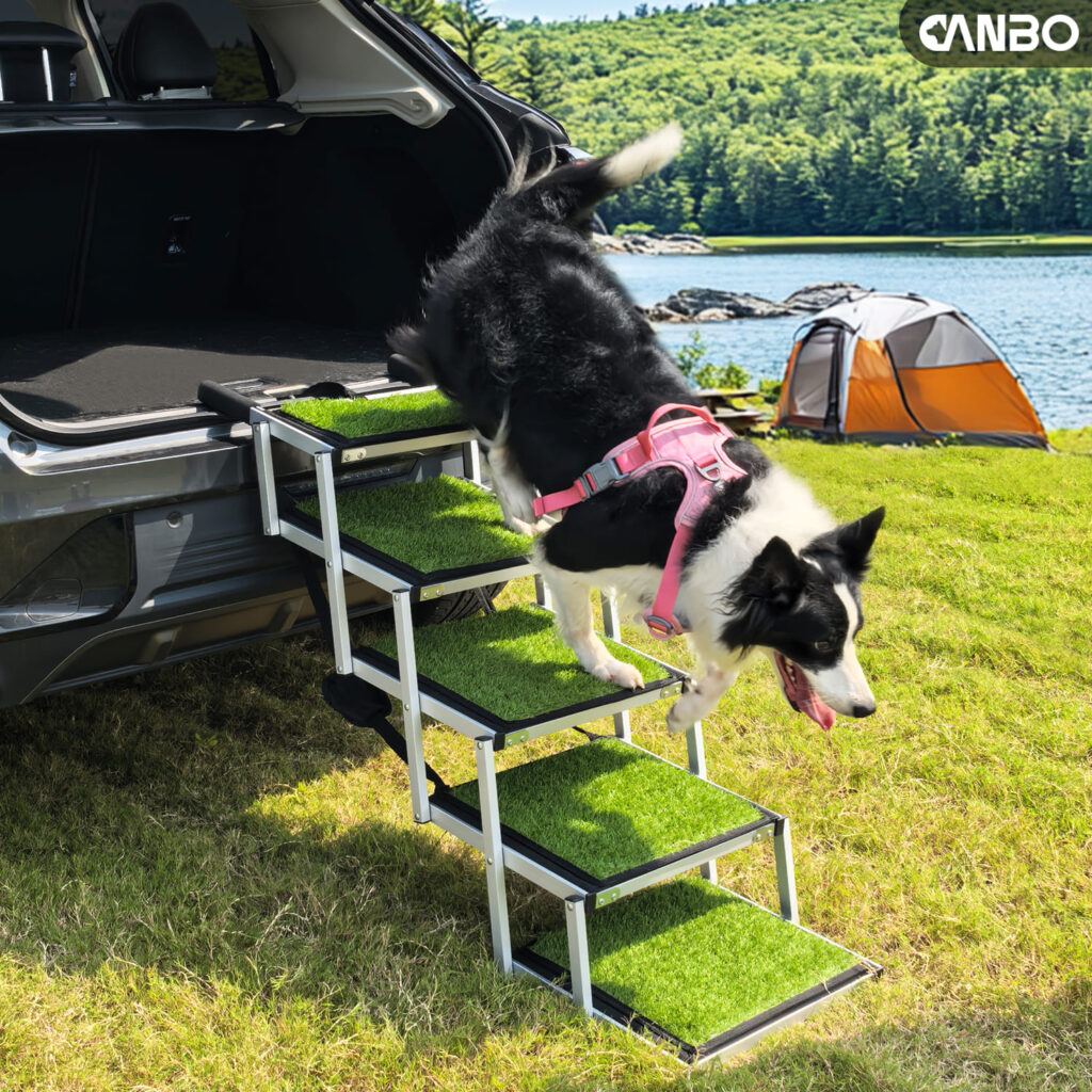 lightweight dog car ramp