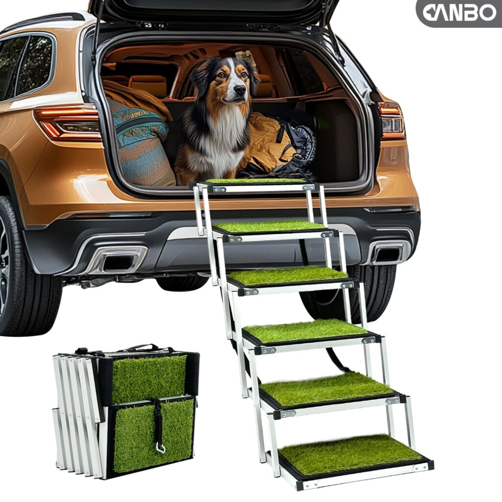 outside ramp for dogs