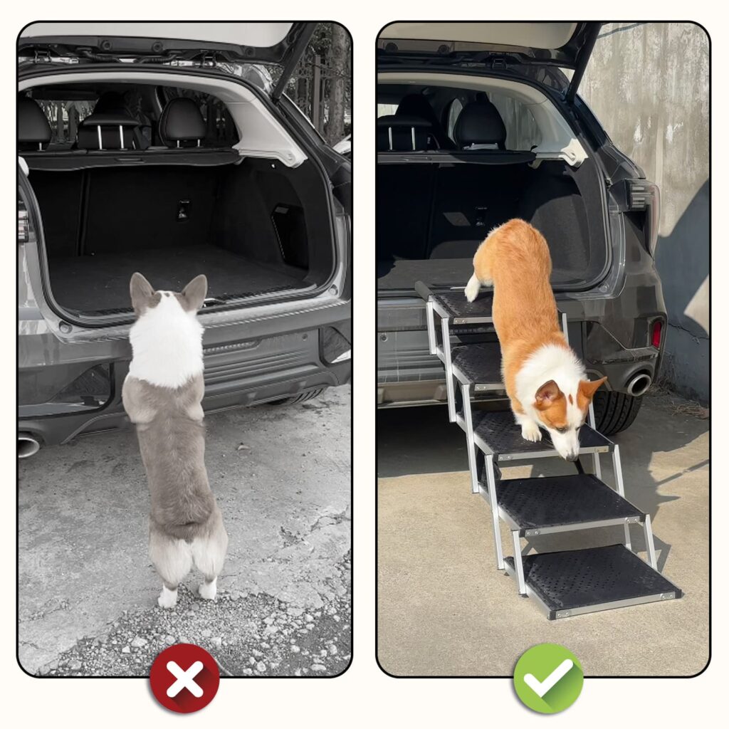 dog ramp for stairs