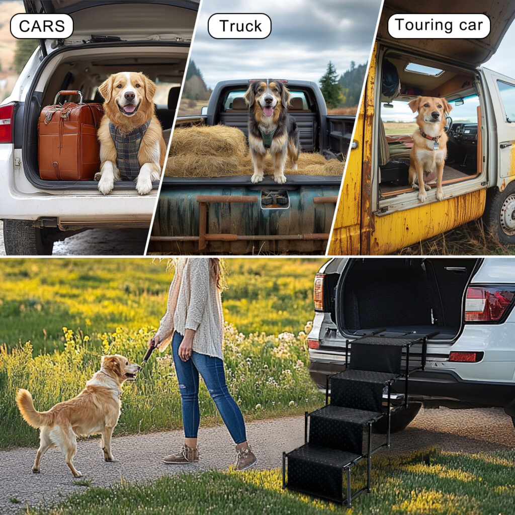 collapsible pet steps