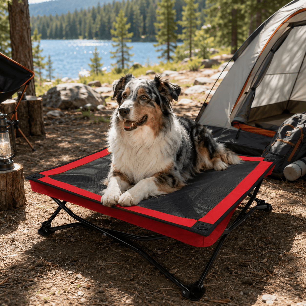 foldable travel dog bed (4)