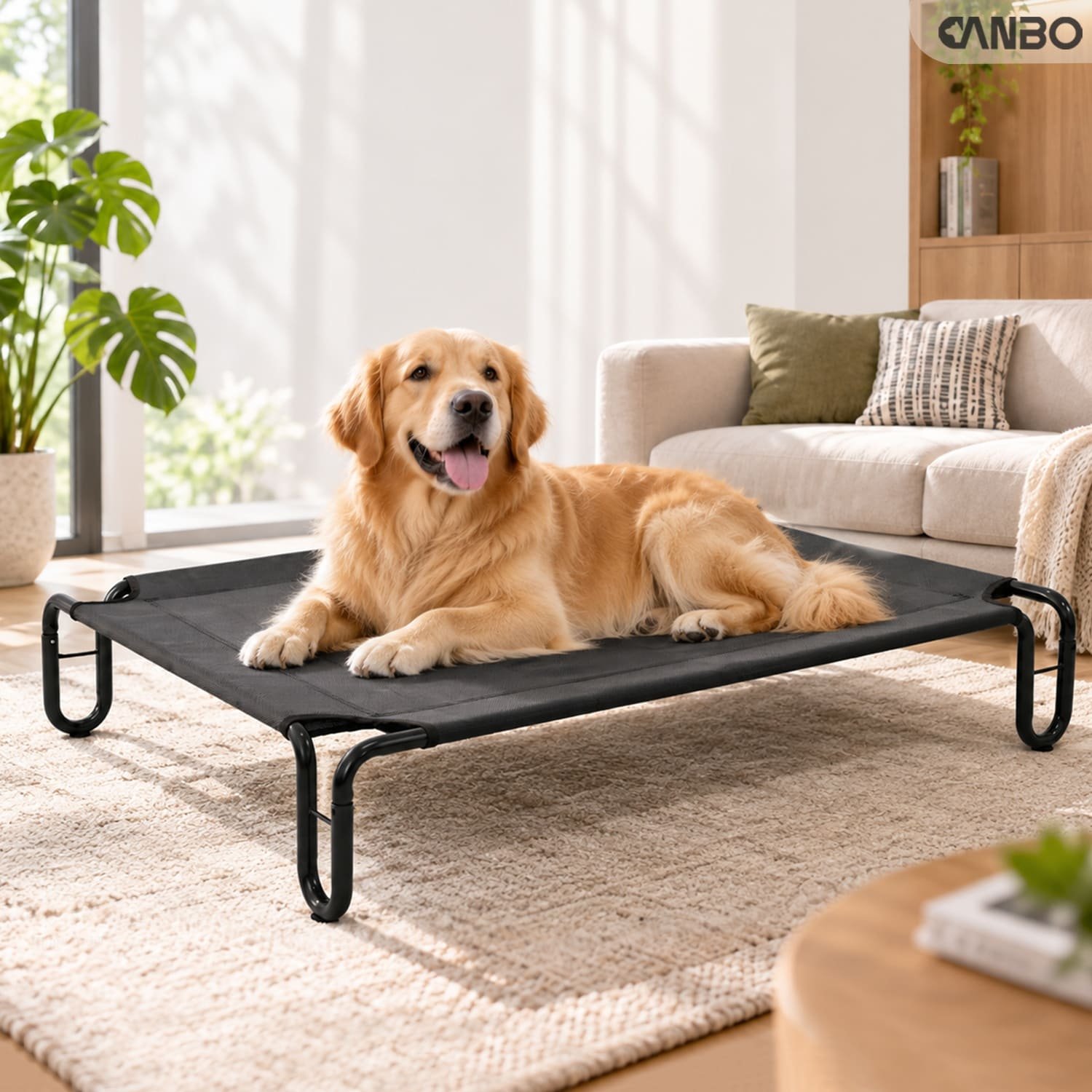 large elevated dog bed