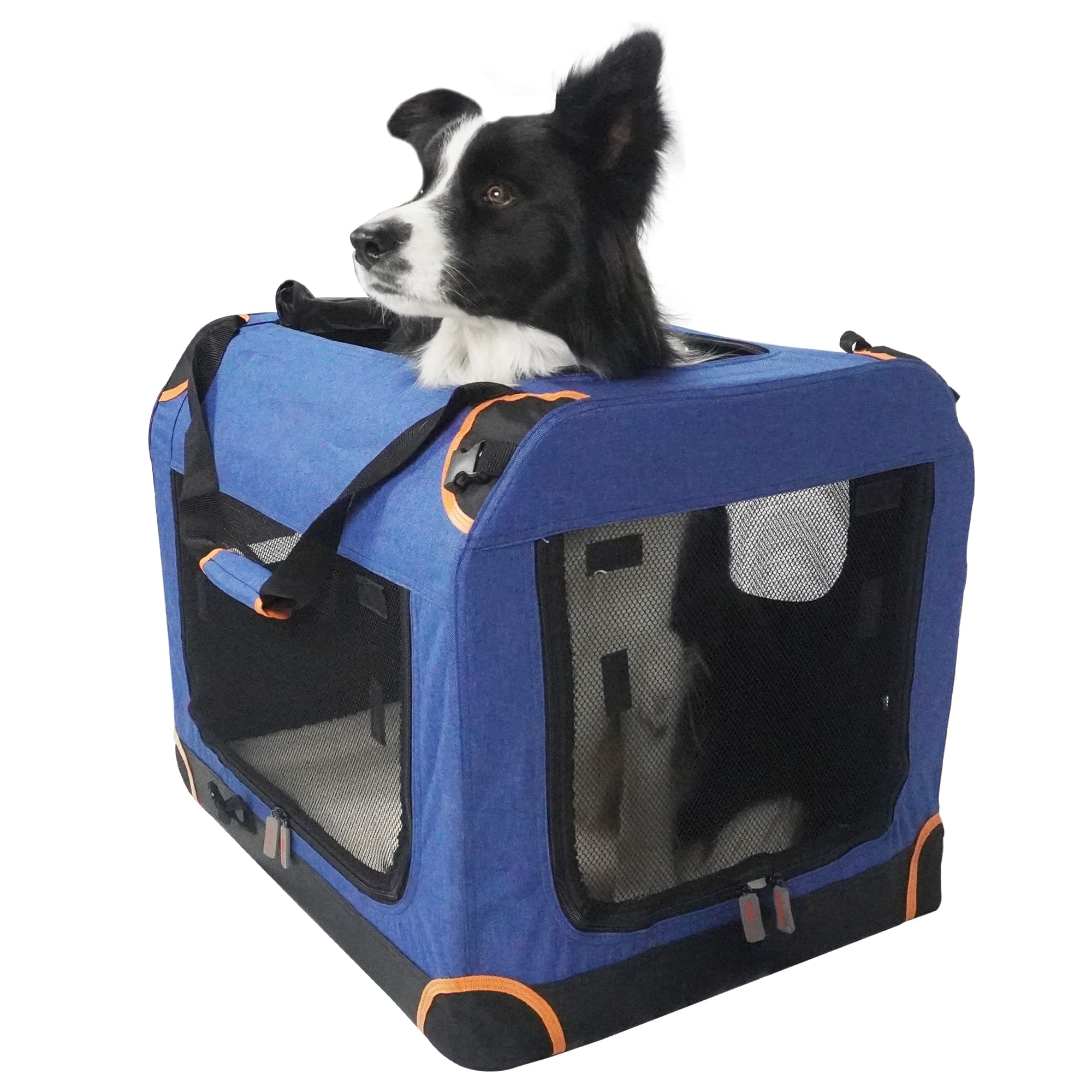 collapsible cat carrier