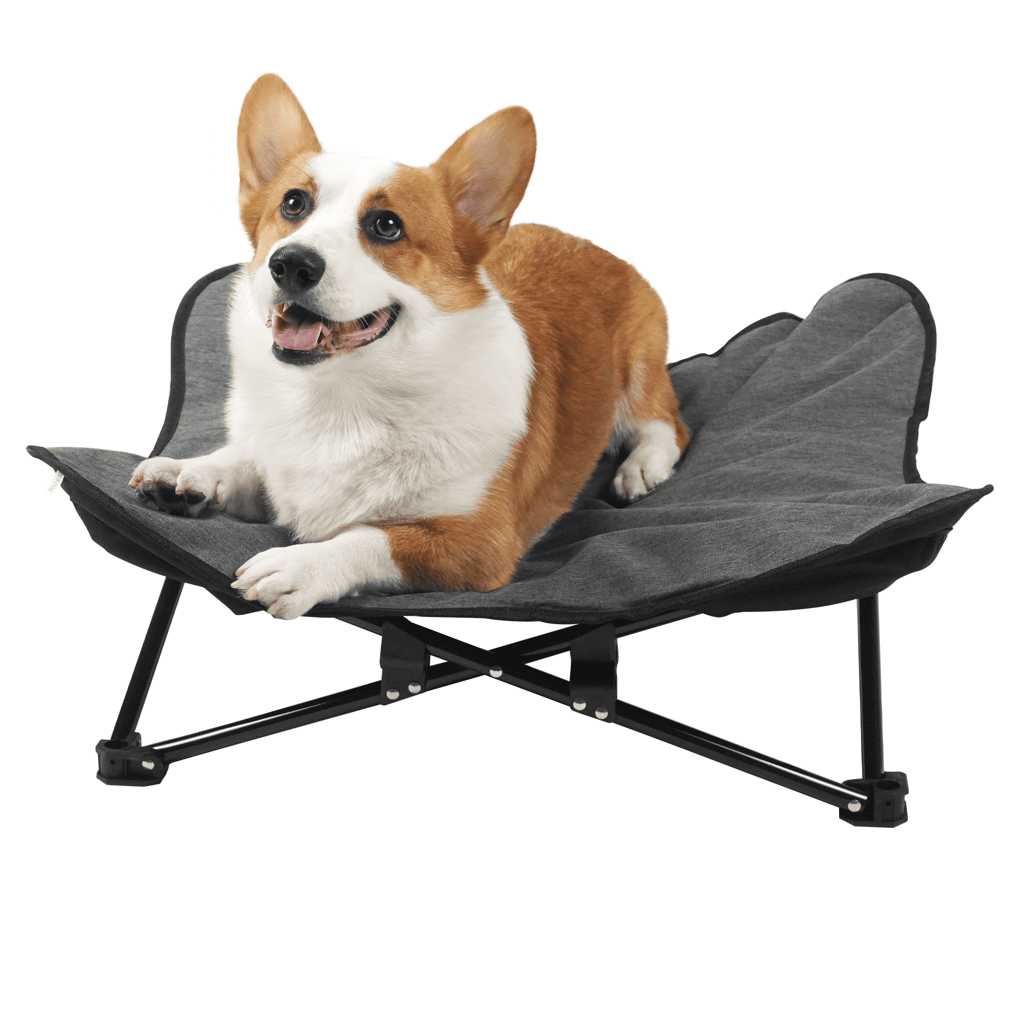 Blomsterbädd för husdjur