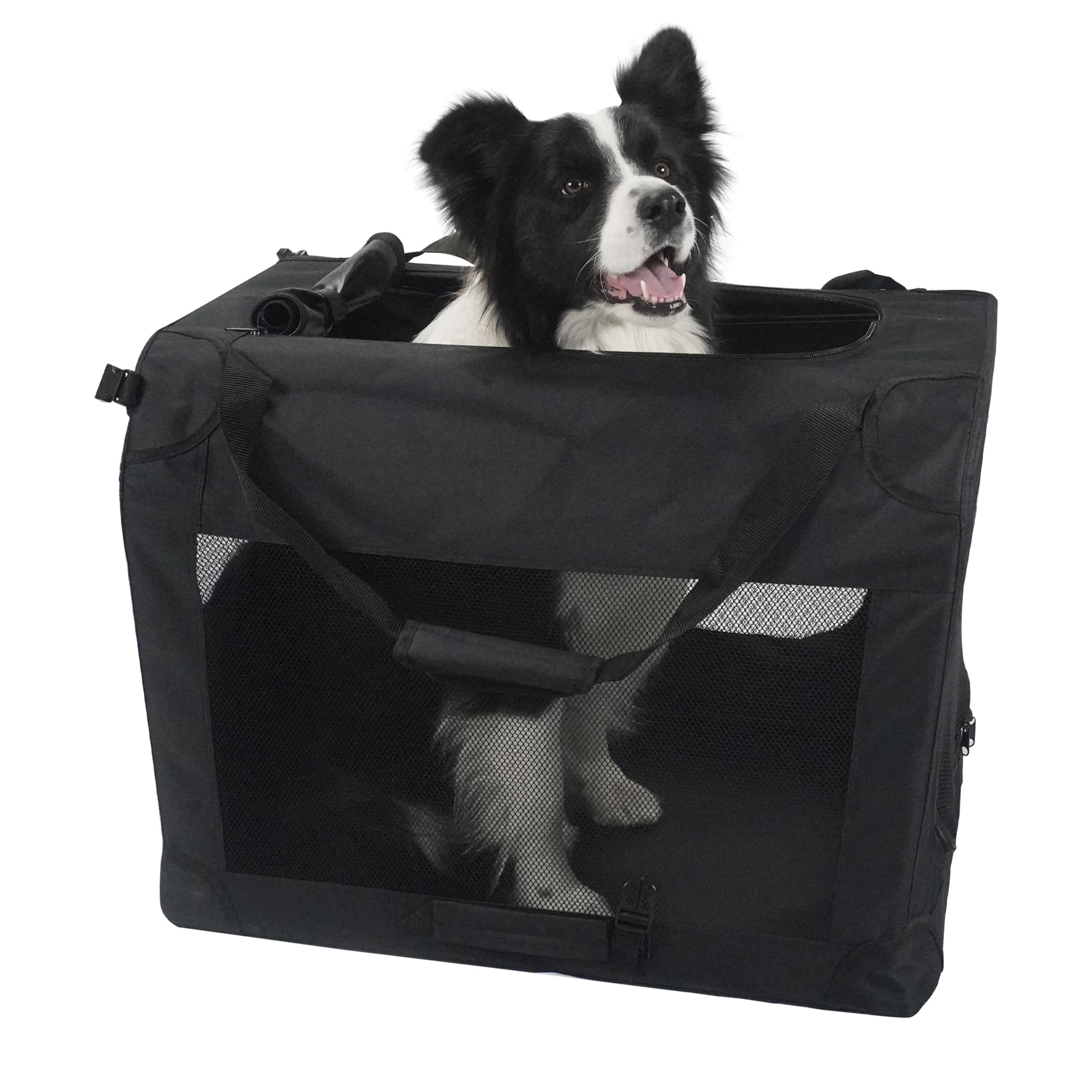 pet carrier medium