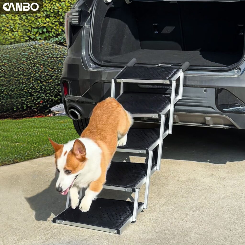 free standing dog ramp