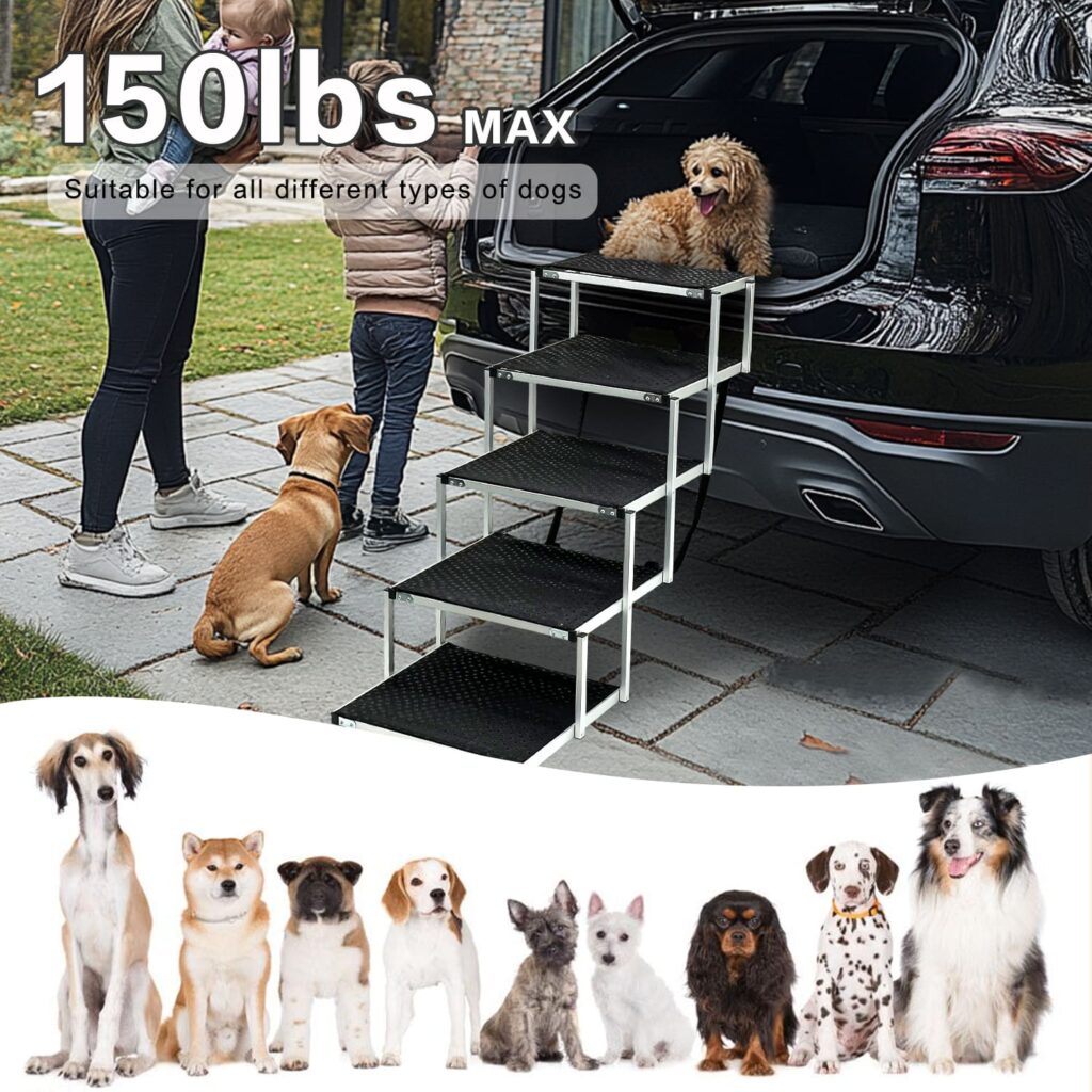 dog ramps for outside