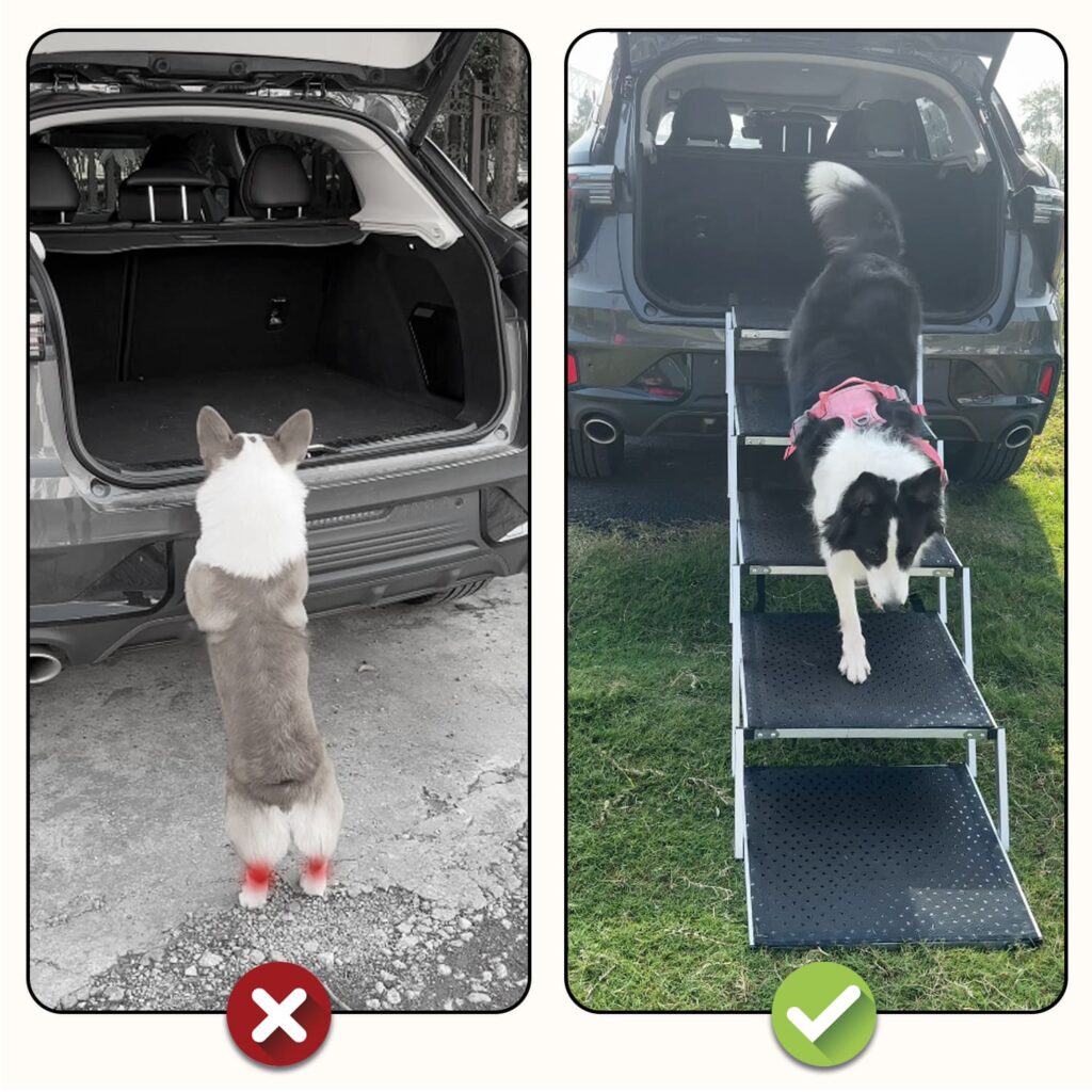 dog ramp for large dogs