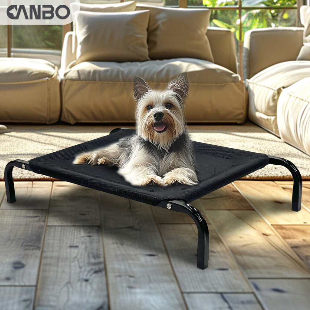 elevated small dog bed