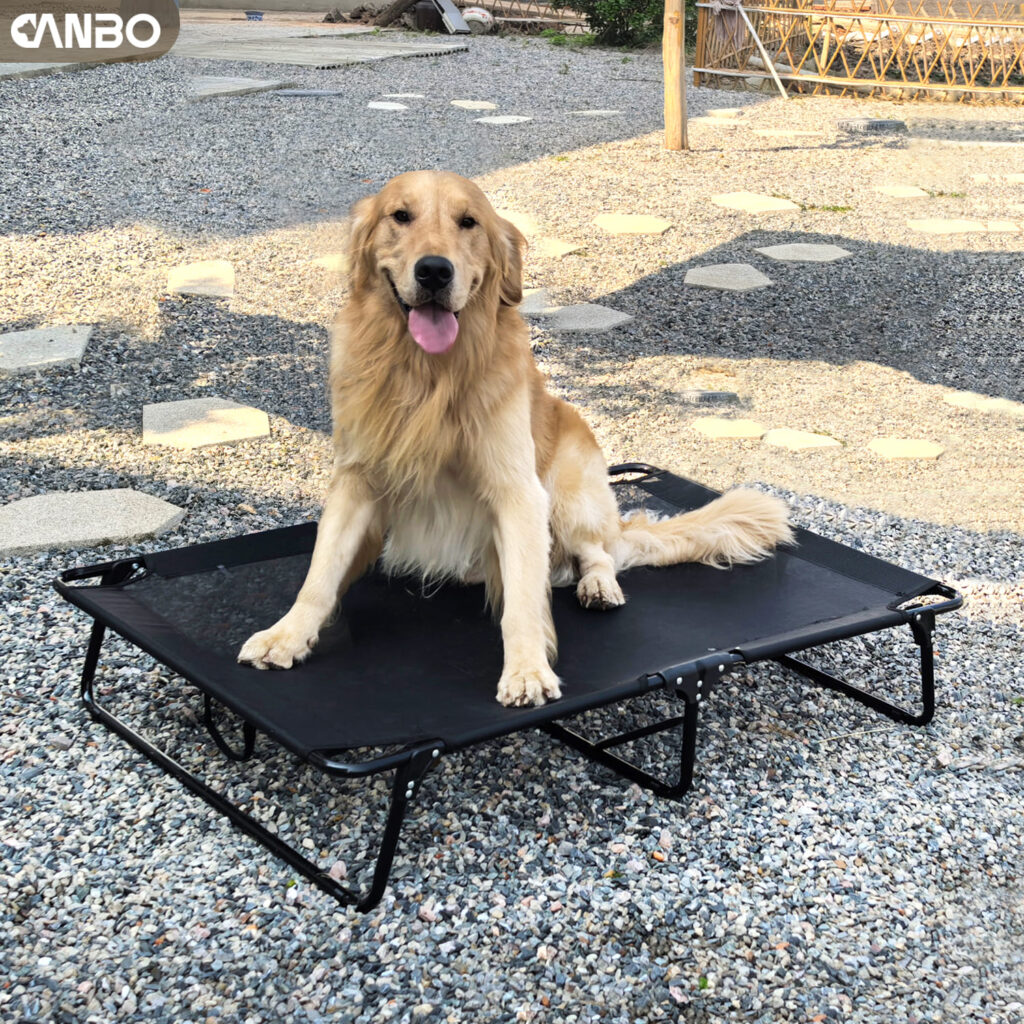 camping dog bed