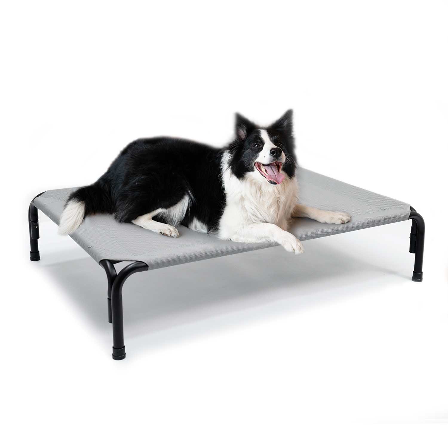 stor förhöjd hundbädd