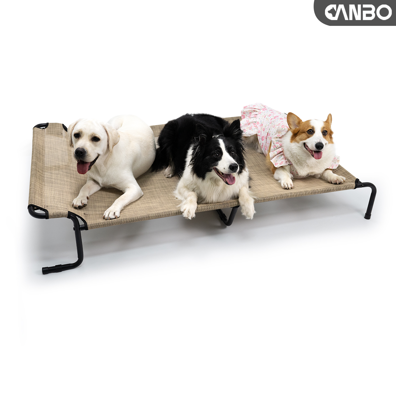 upphöjd husdjursbädd för stora hundar