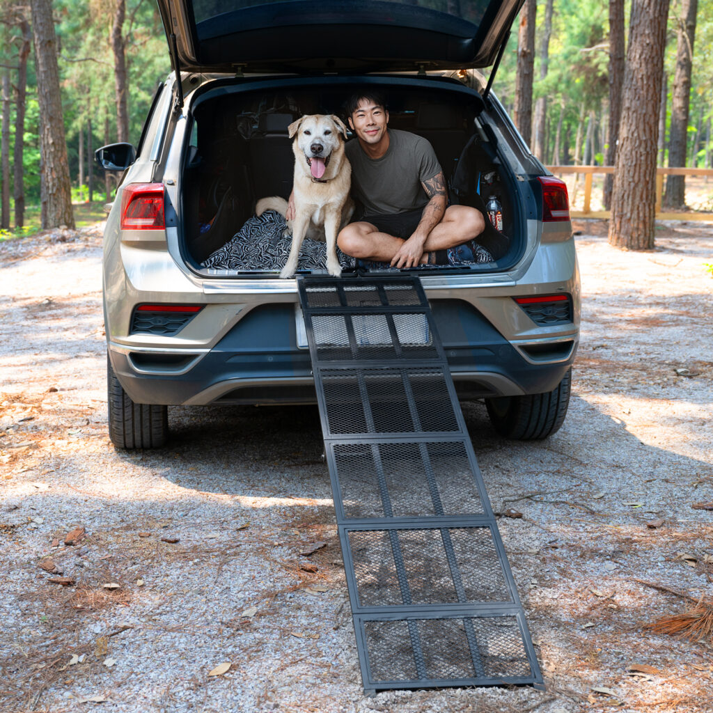 steel pet ramp