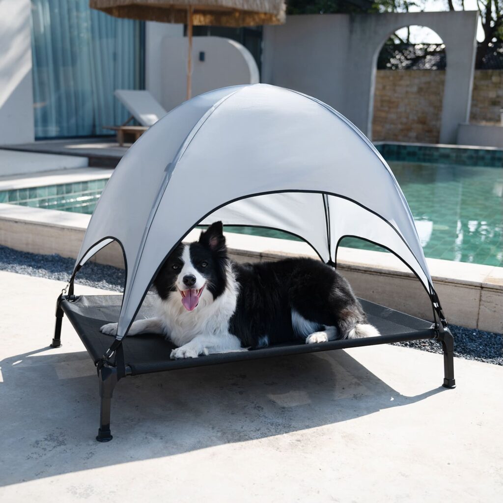 Giường ngủ cho thú cưng có mái che