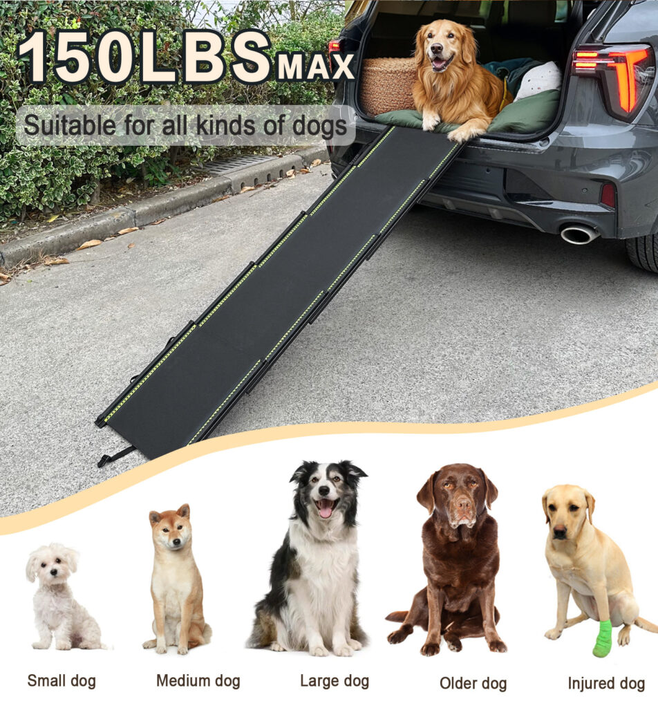 rampa per cani di grossa taglia