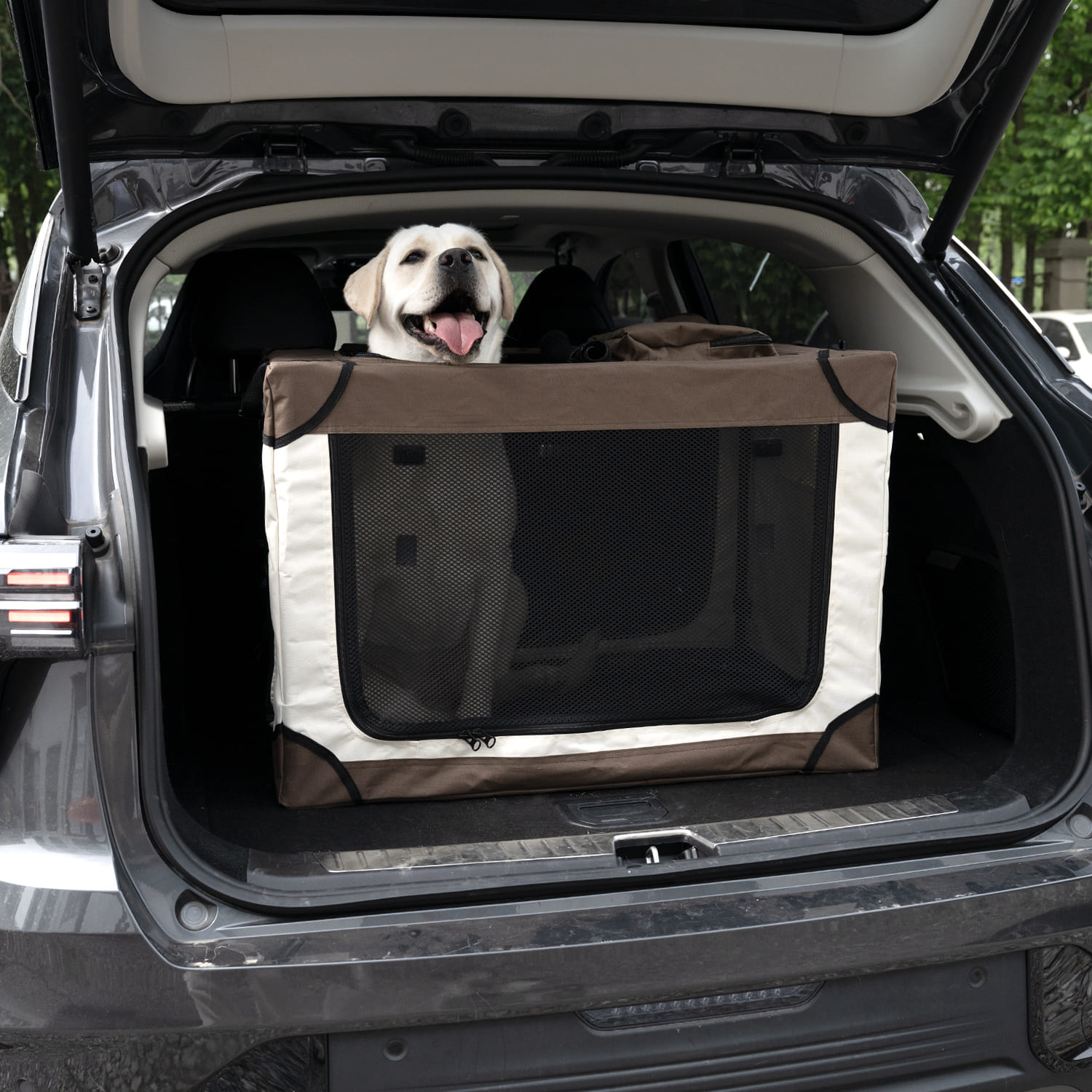 soft sided dog crate for plane