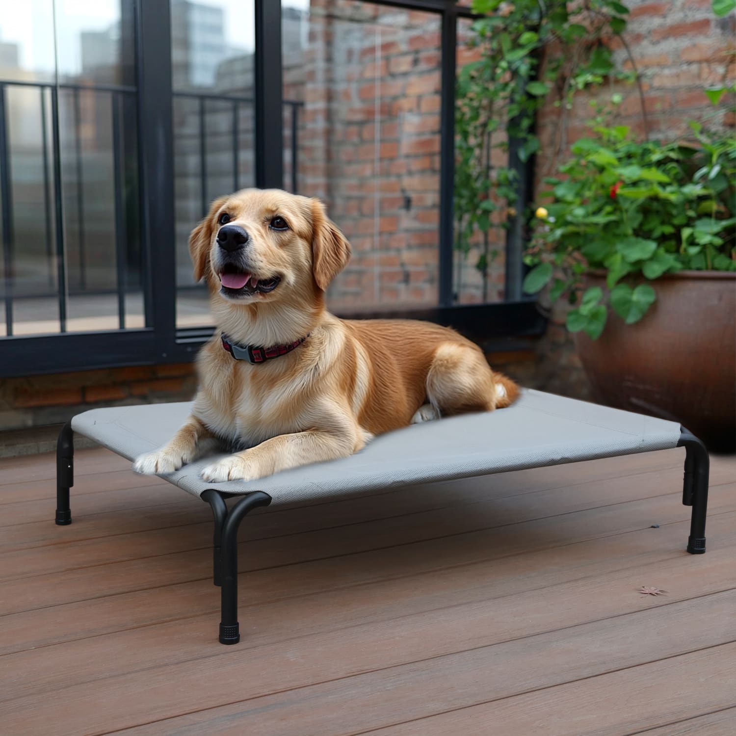 Erhöhtes Hundebett für draußen Haustierbett