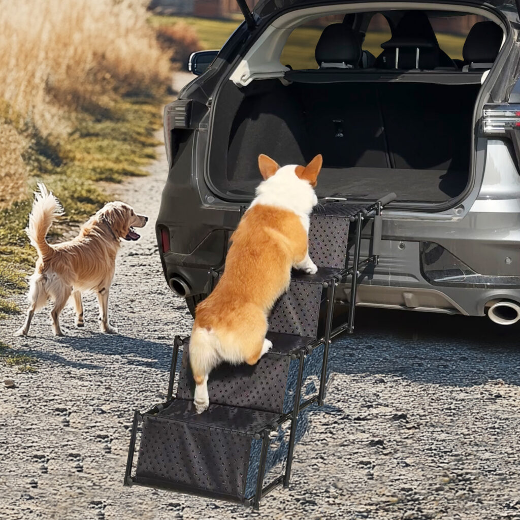 pet stair ramp