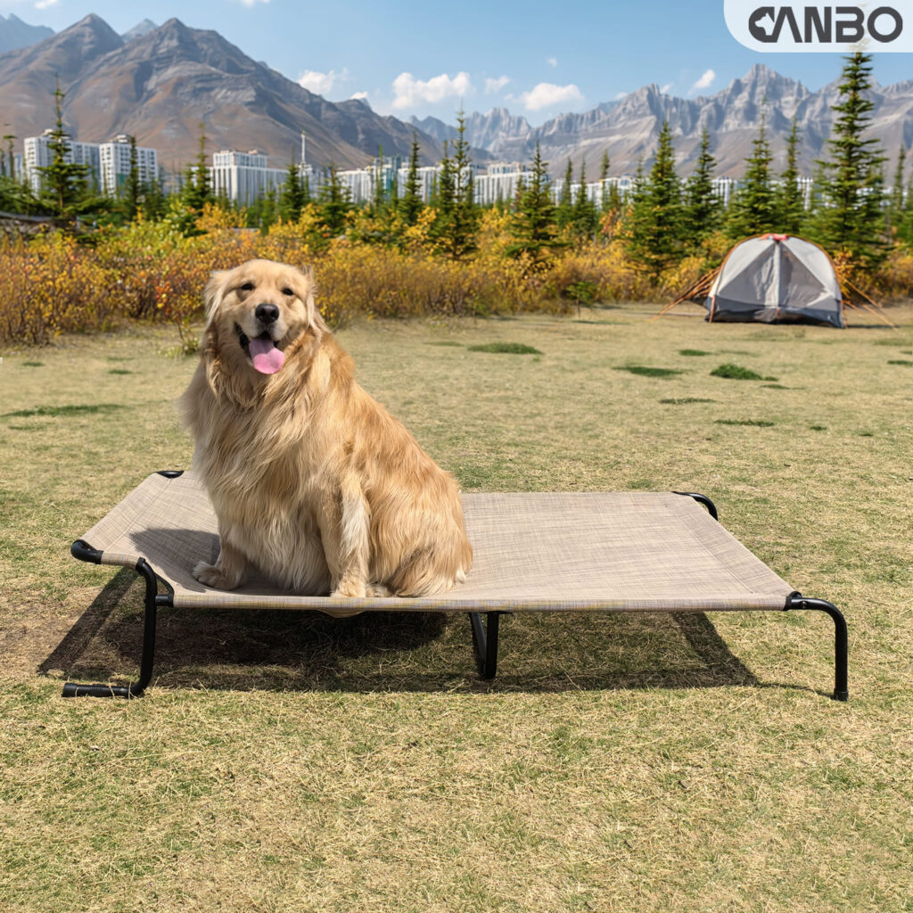 dog bed with head rest