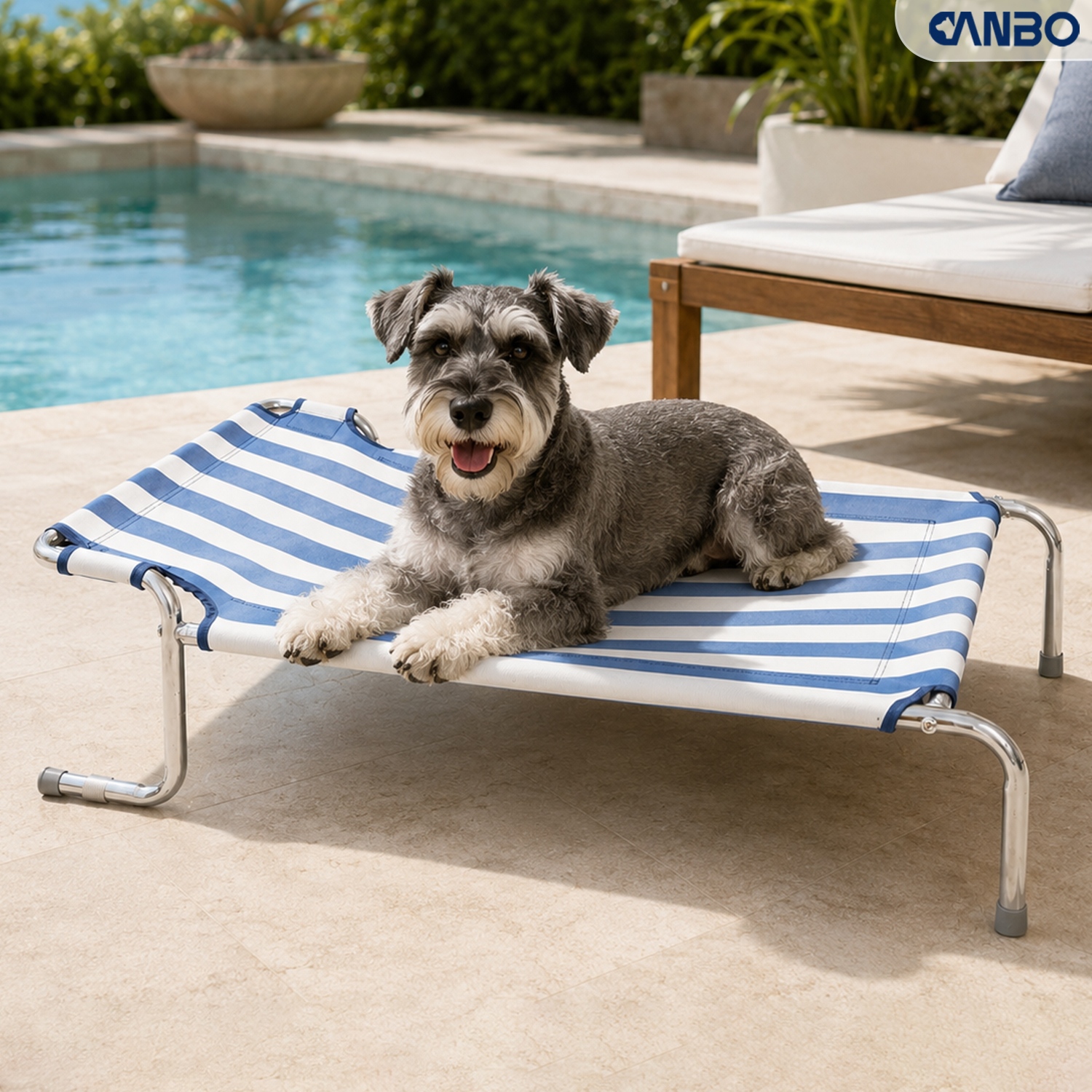 best folding elevated dog bed