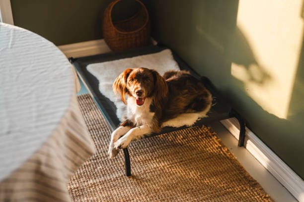 istockphoto 1754351159 612x612 (1)