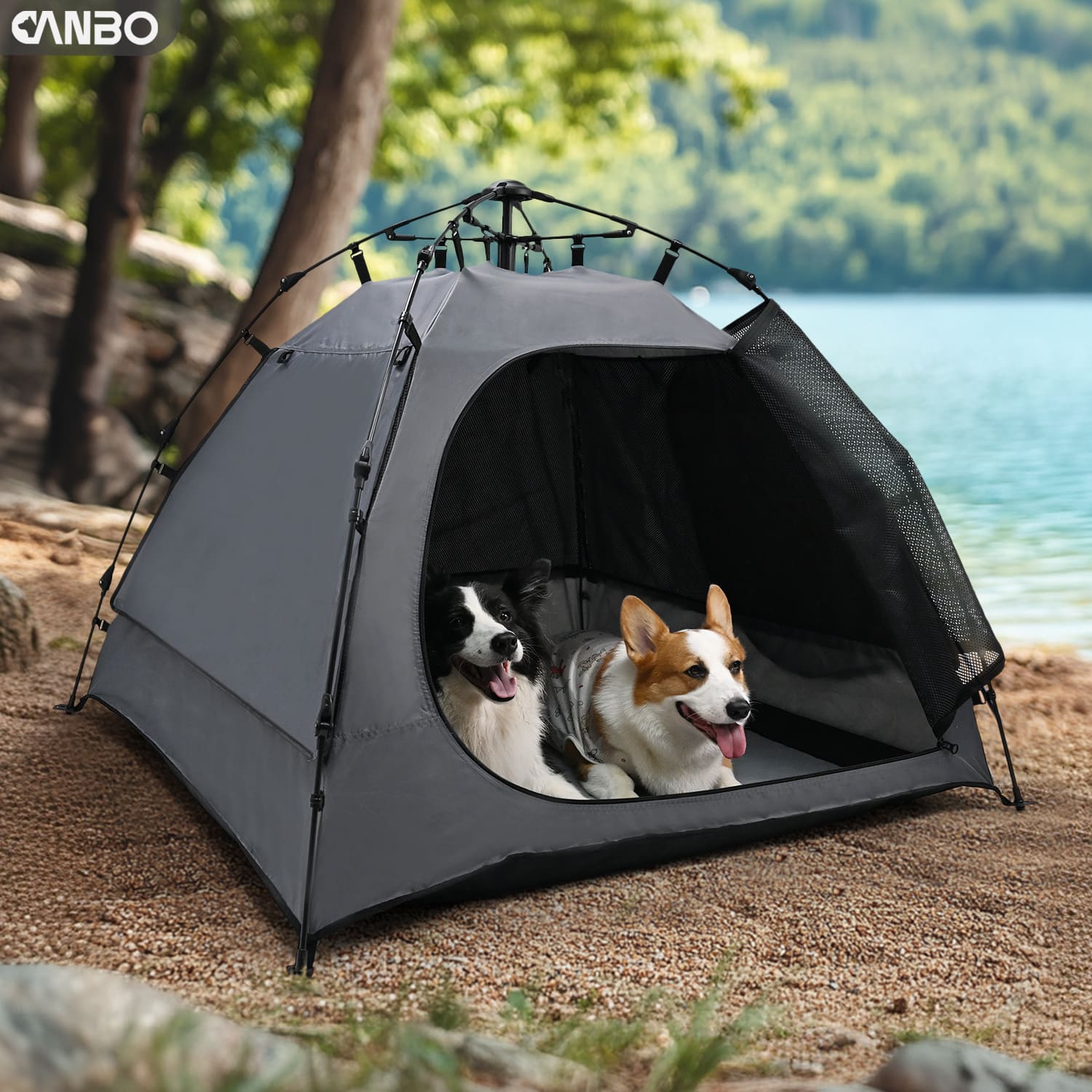 dog pop up tent