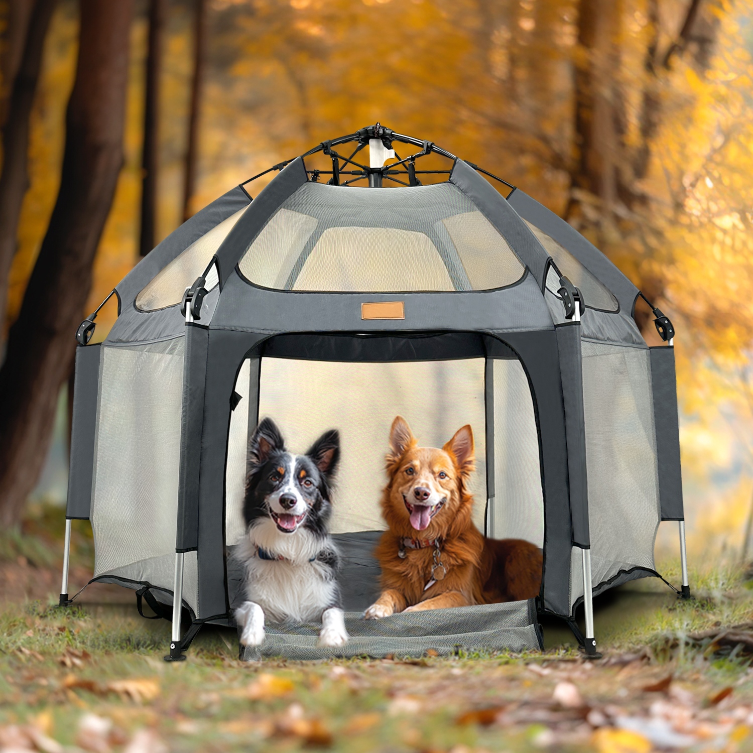 melhores barracas para acampar com cães