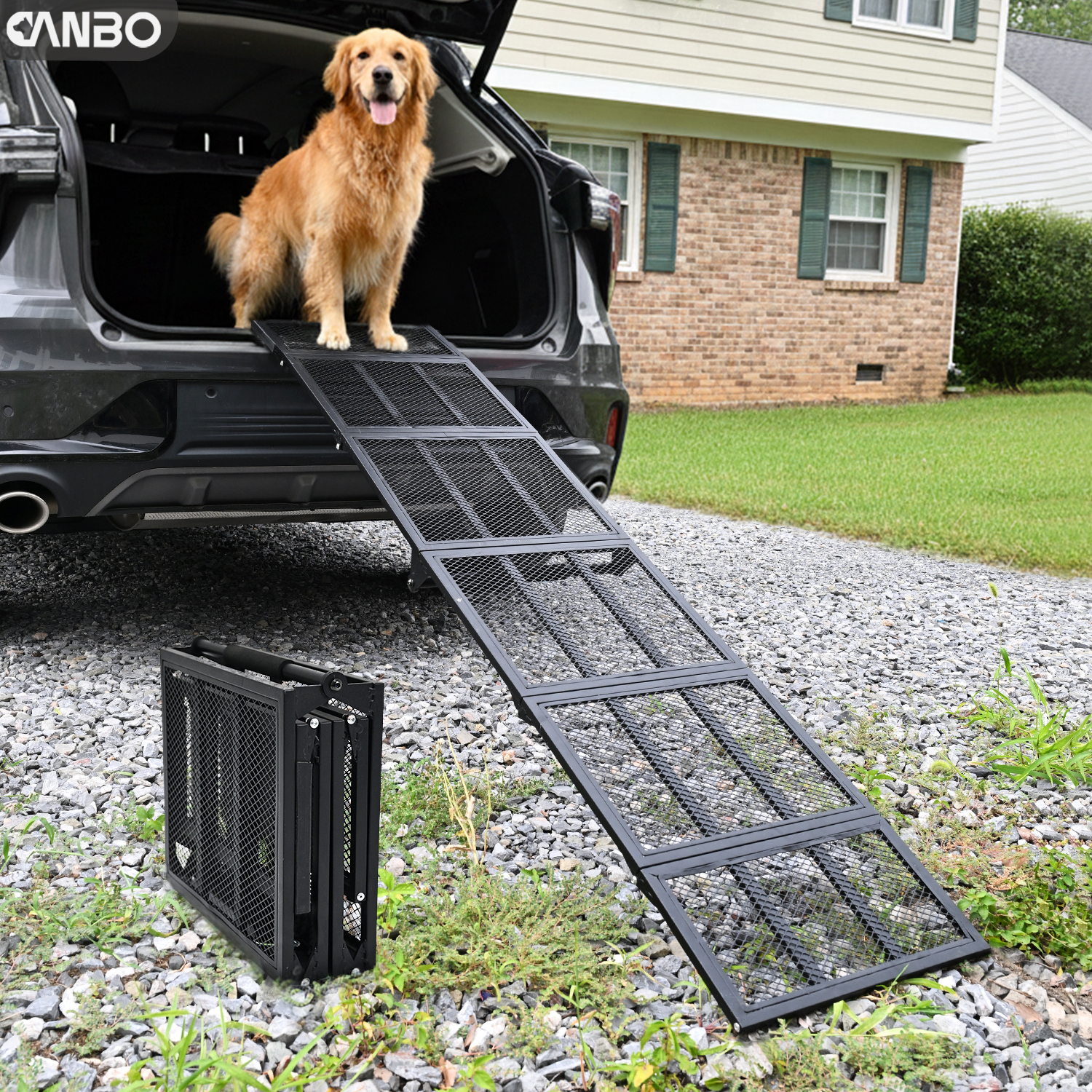 dog stairs for large dogs