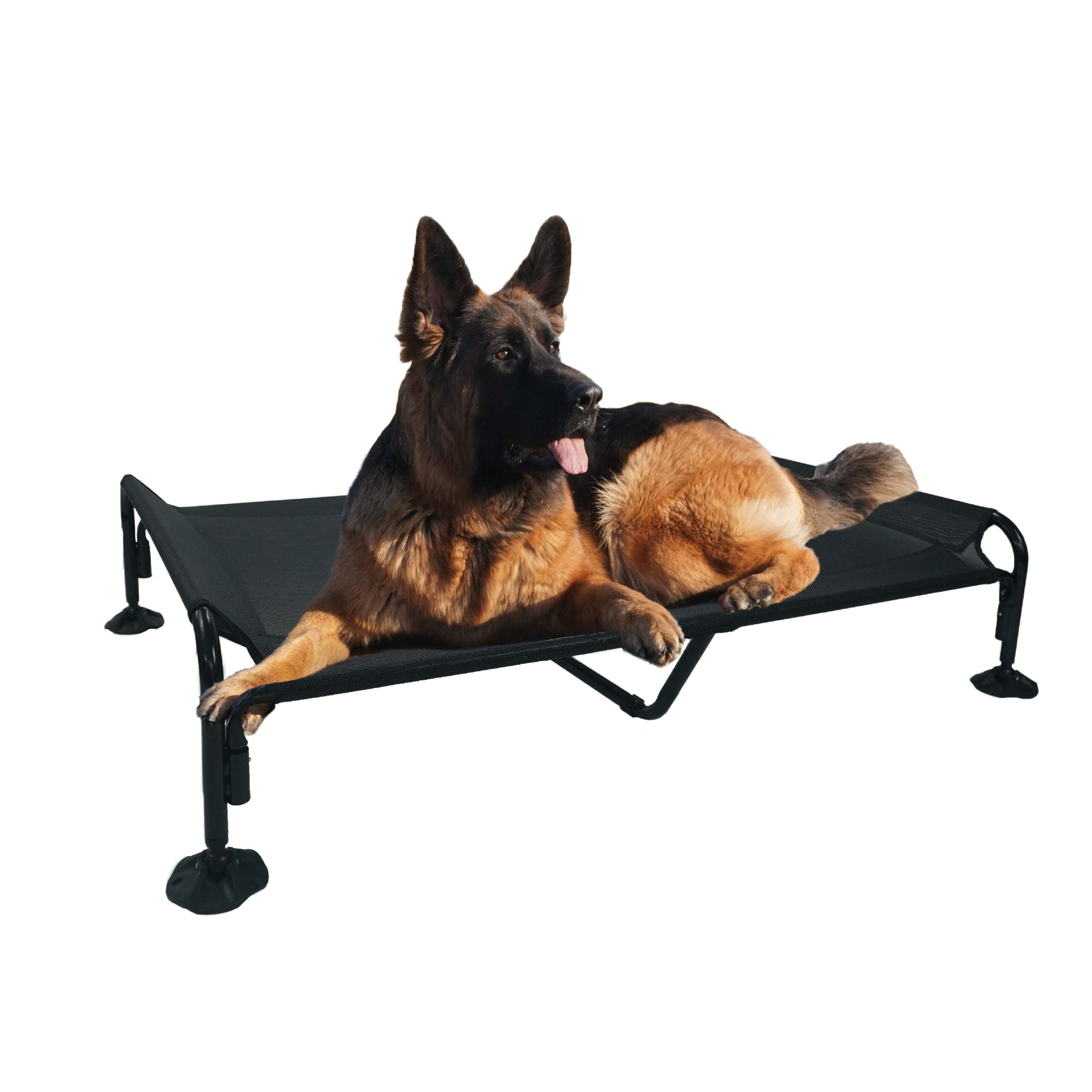 dog bed with headrest