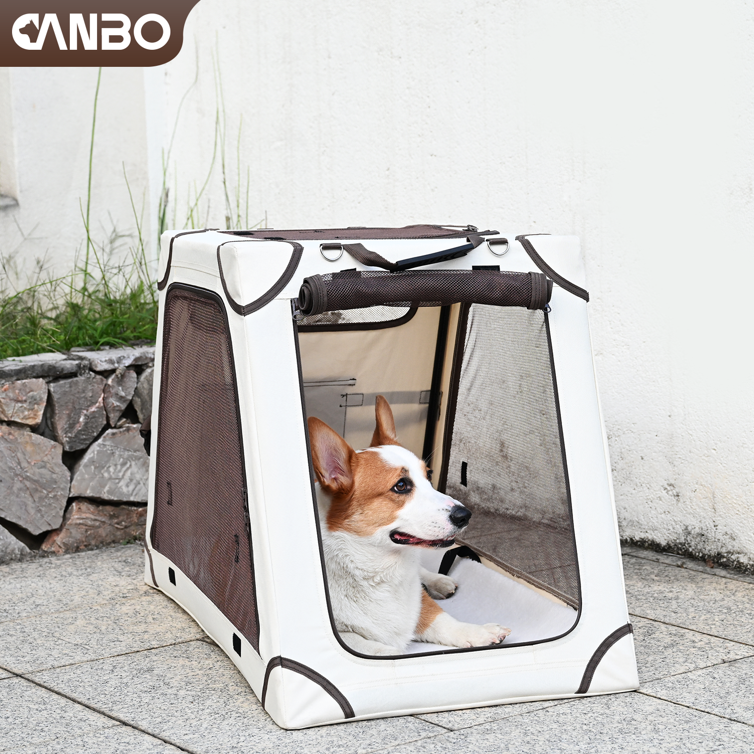 collapsible dog crate