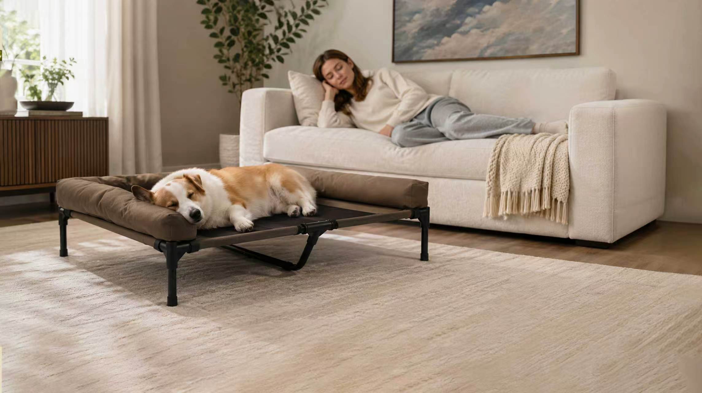 elevated pet bed with pillow