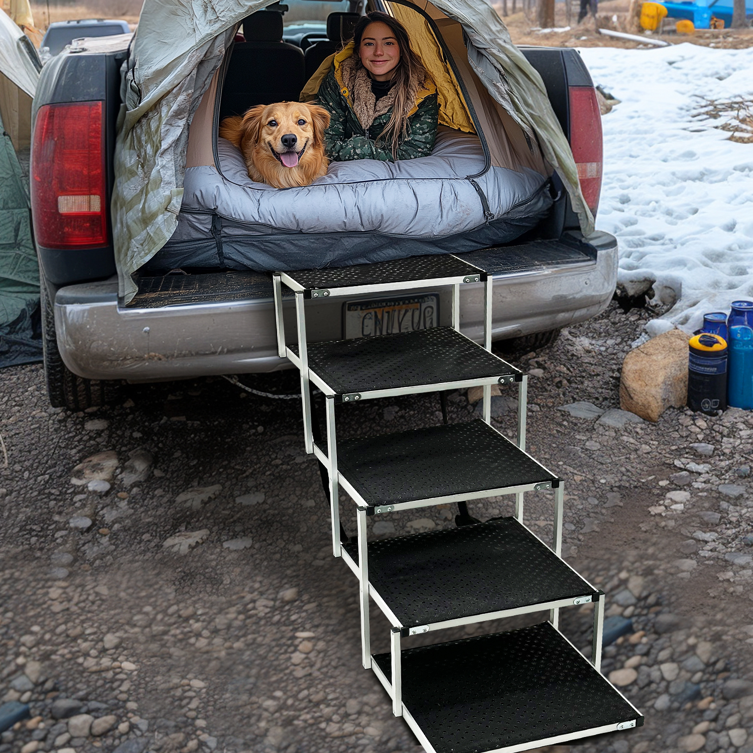 best dog ramp for outside steps