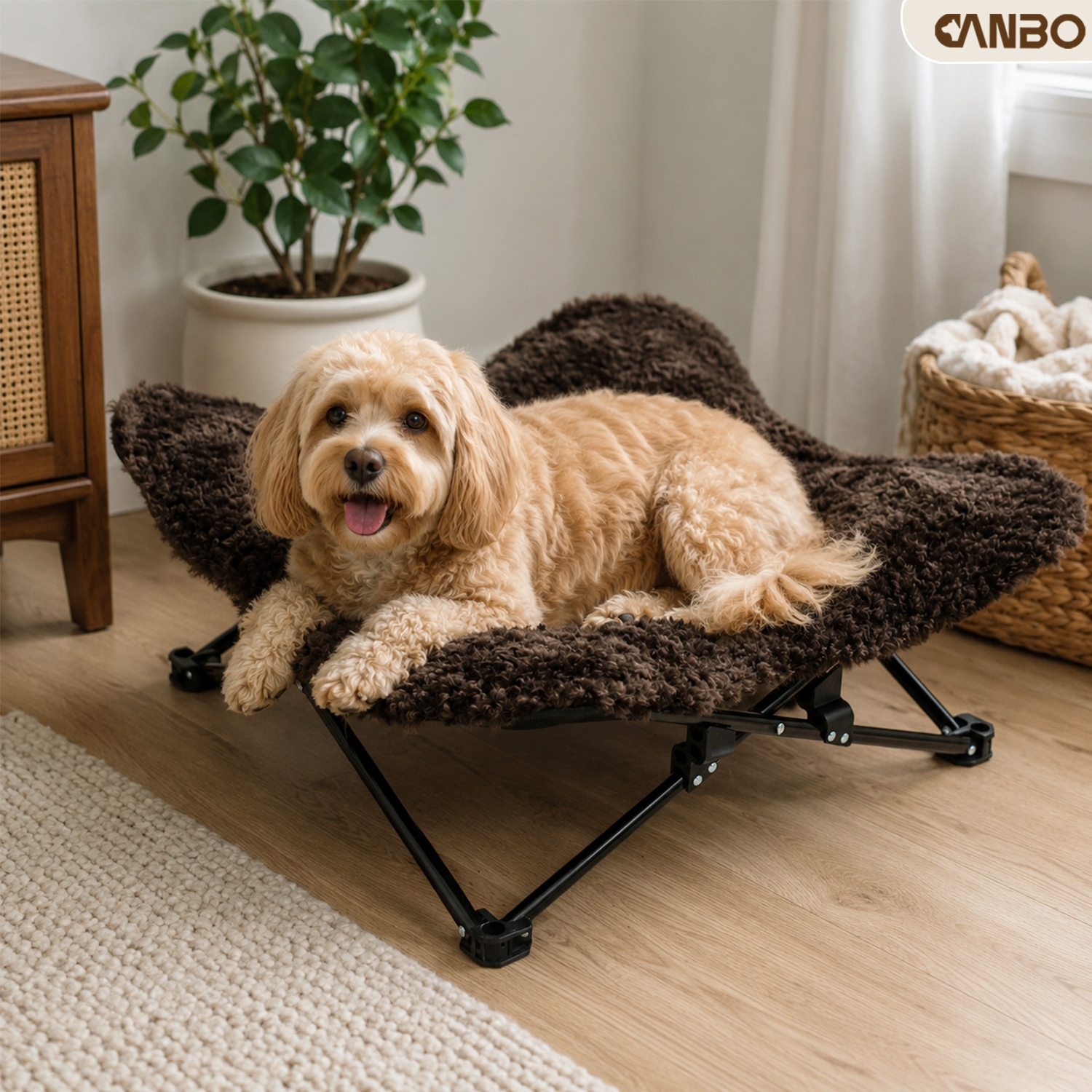best indoor dog bed for winter