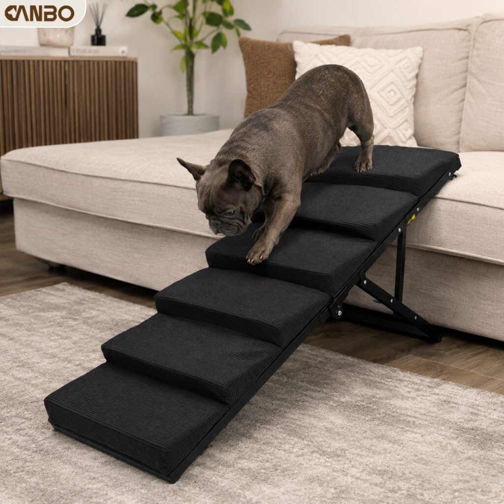 dogs steps for bed