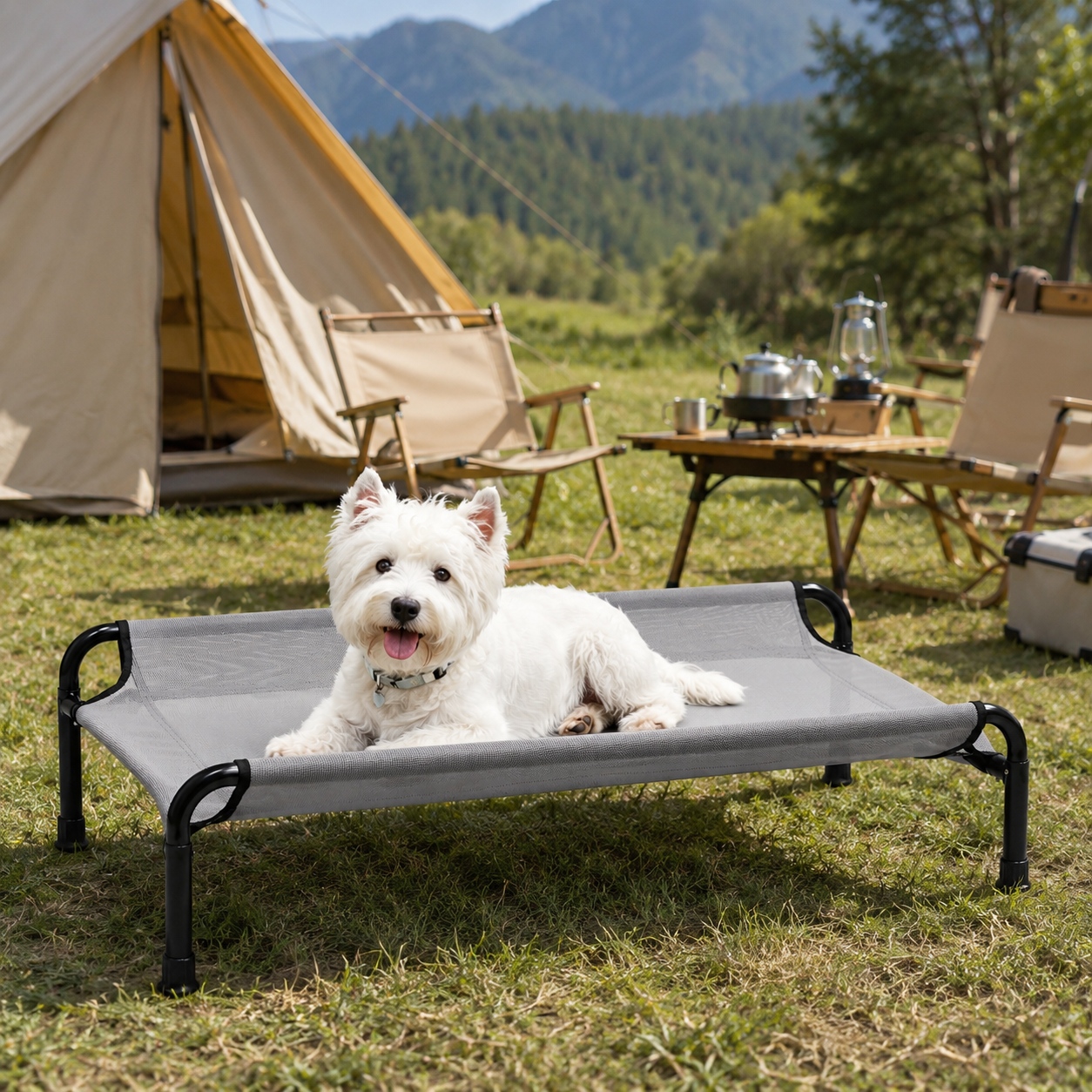 elevated cooling dog bed
