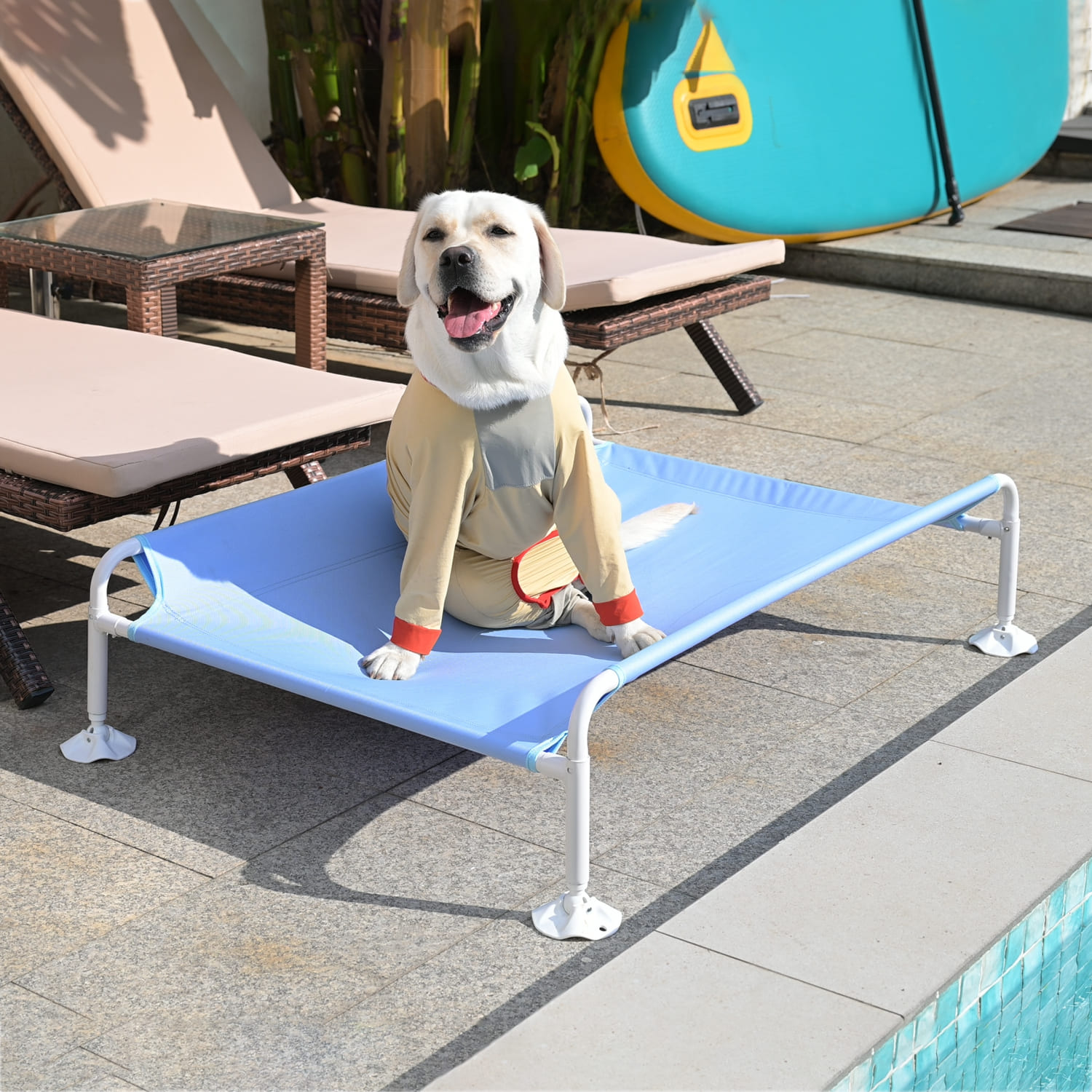 elevated dog bed(cb 2310) (3)