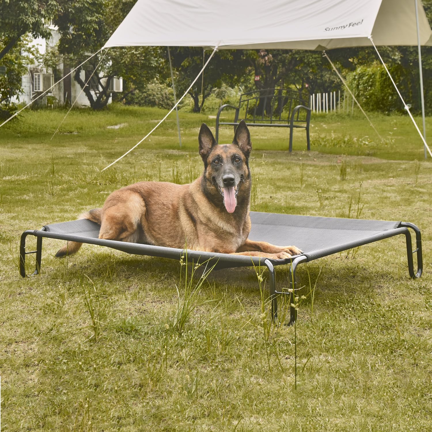 portable elevated dog bed