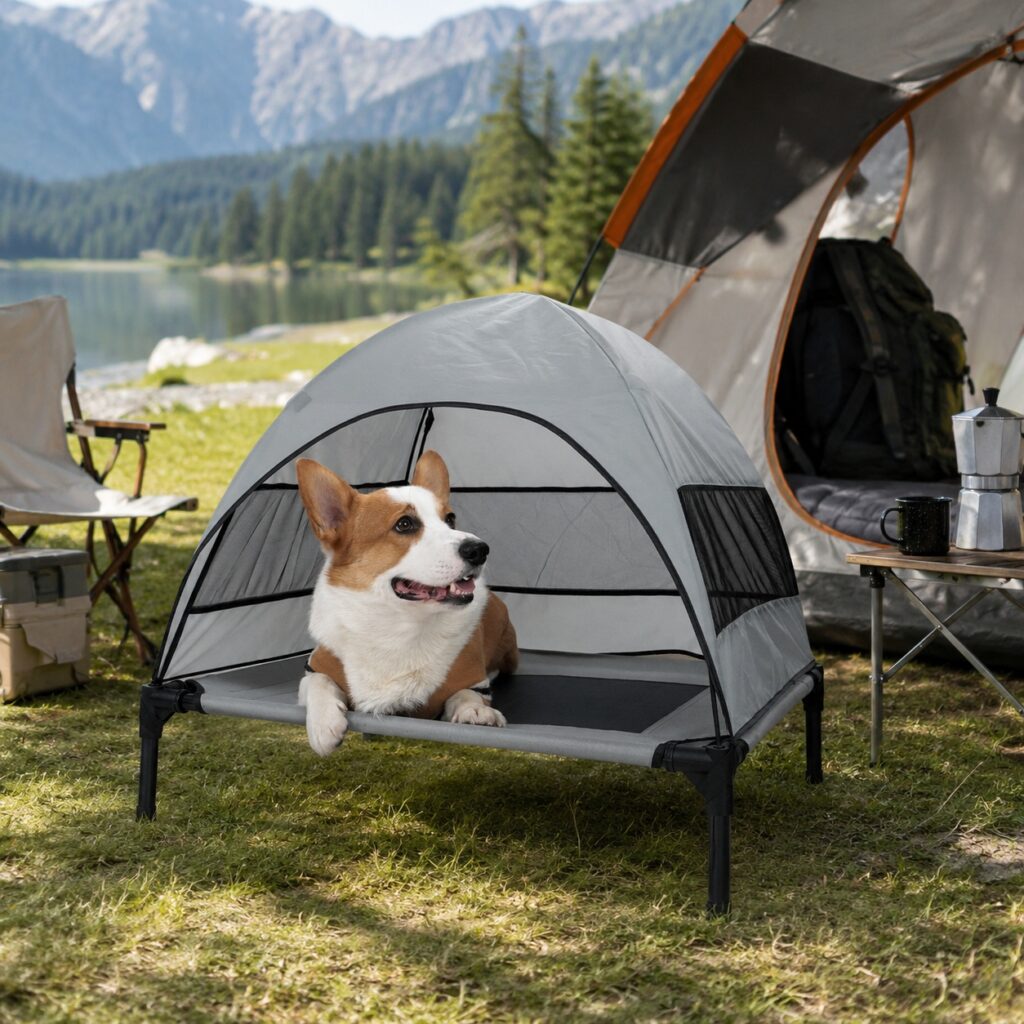 raised dog bed outdoor