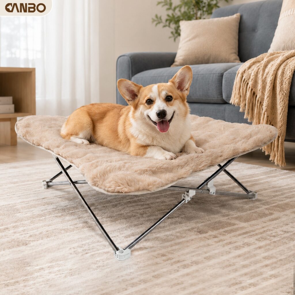 raised dog beds larg
