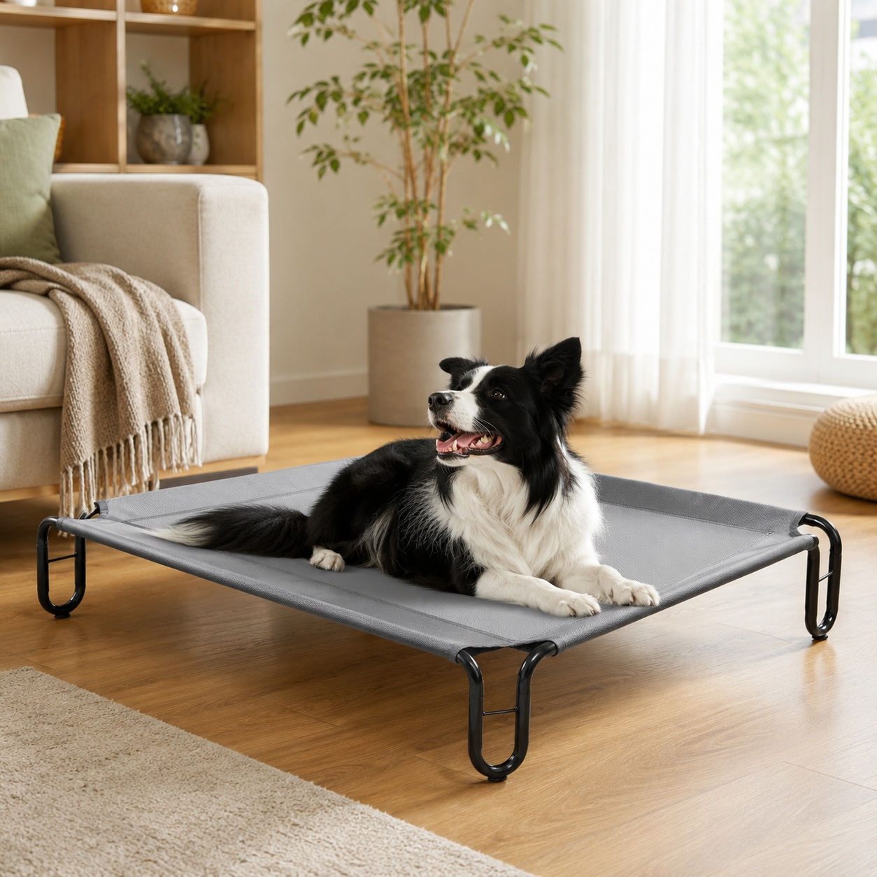 small elevated outdoor dog bed