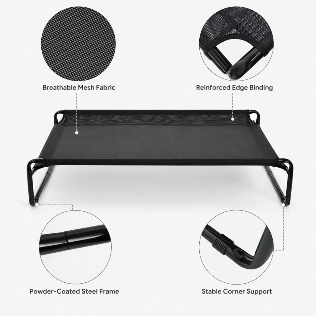 best elevated dog bed