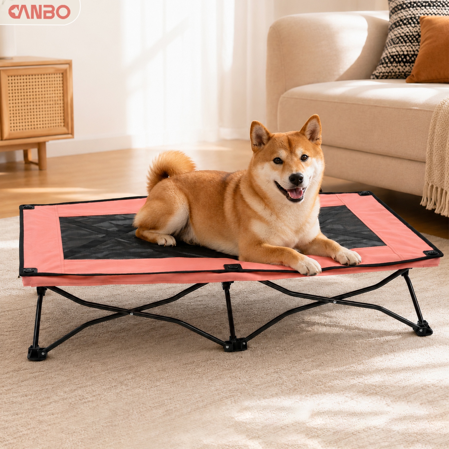 custom elevated dog bed