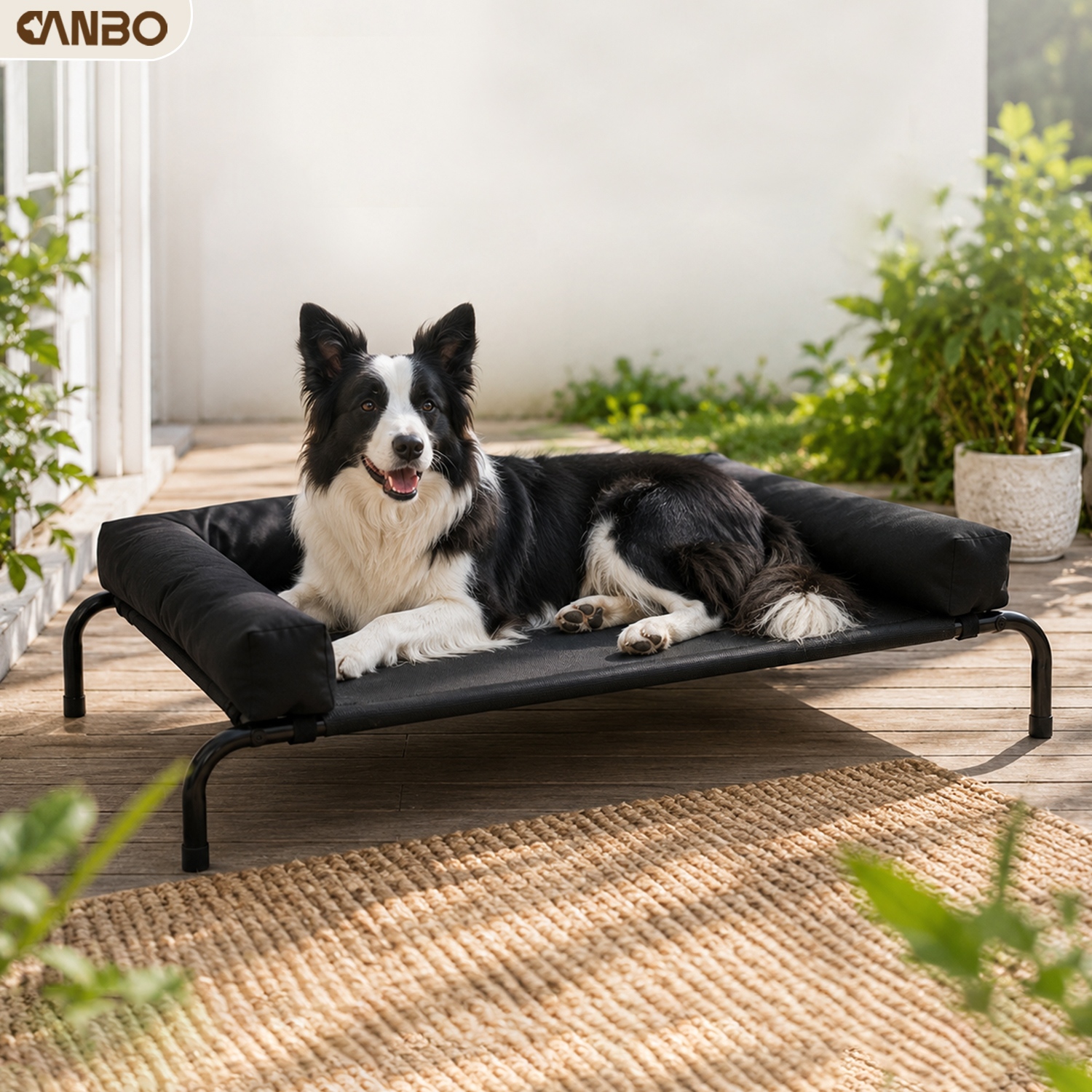elevated dog bed with removable fluffy pillow