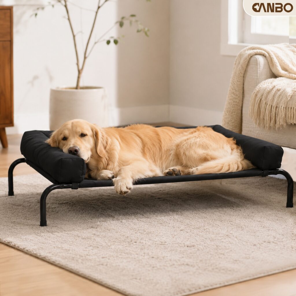 elevated dog bed with removable pillow