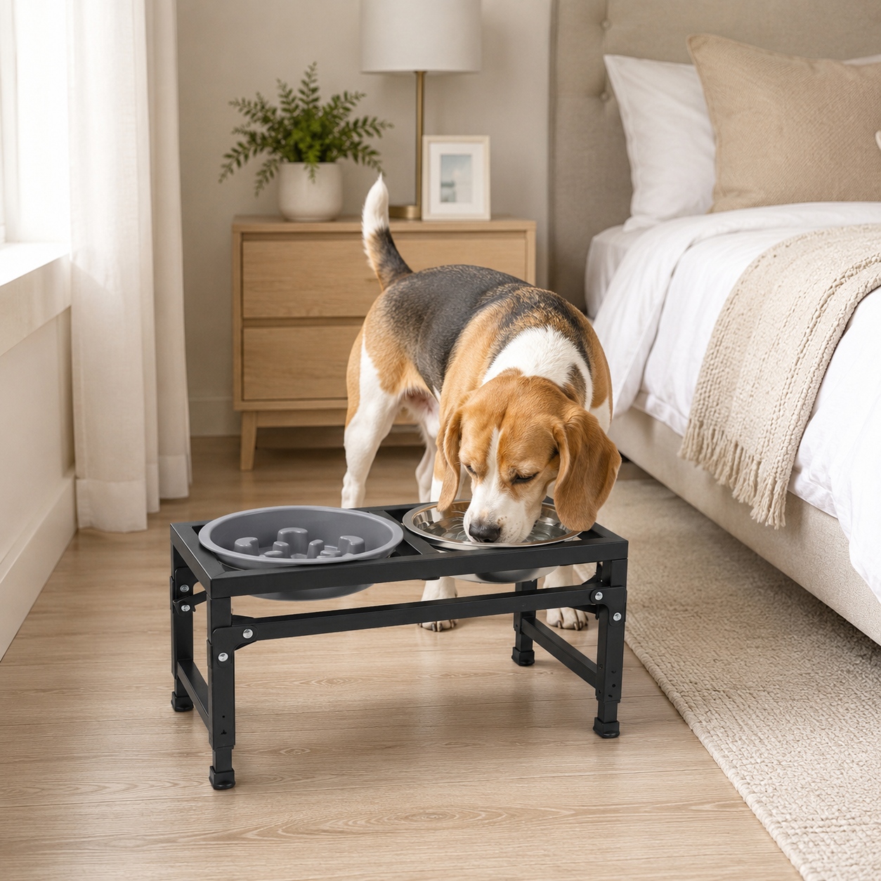 adjustable dog food bowl stand