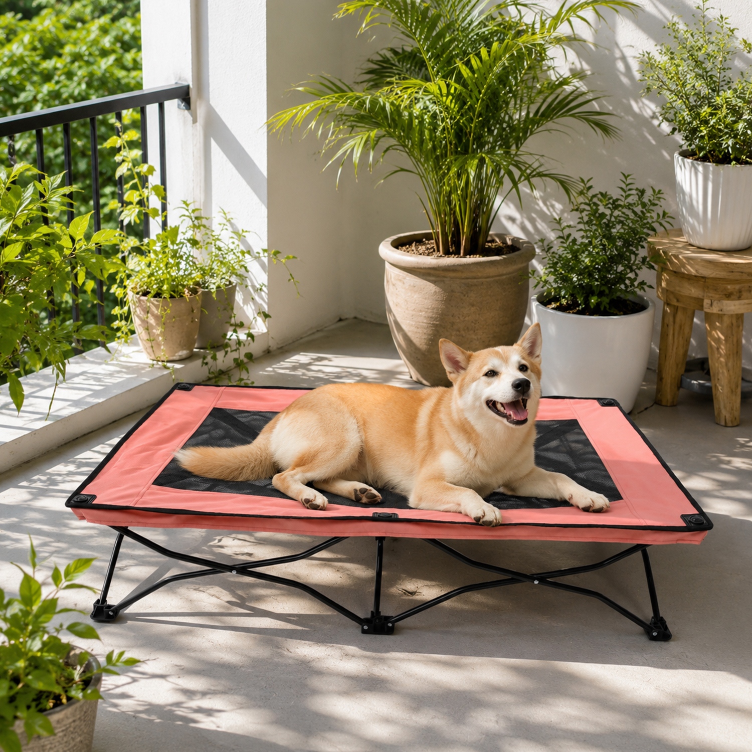 cooling elevated dog bed large