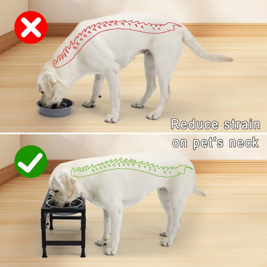 dog bowls for large dogs