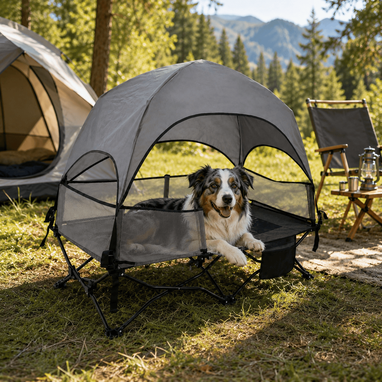 dog cooling bed with canopy (2)