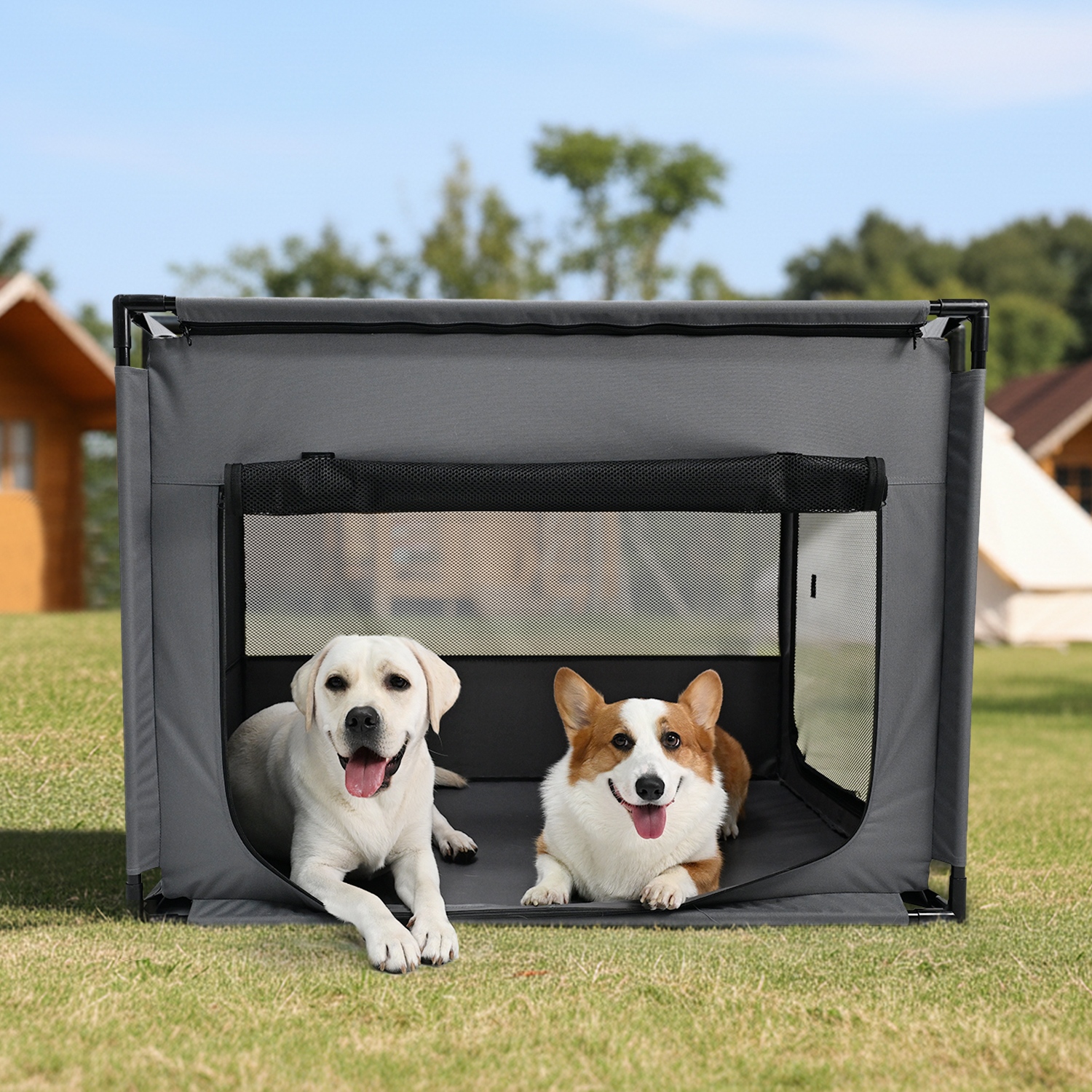 dog playpen outdoors